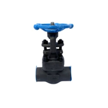 Warren Valve 851-8T_1 EF56-1